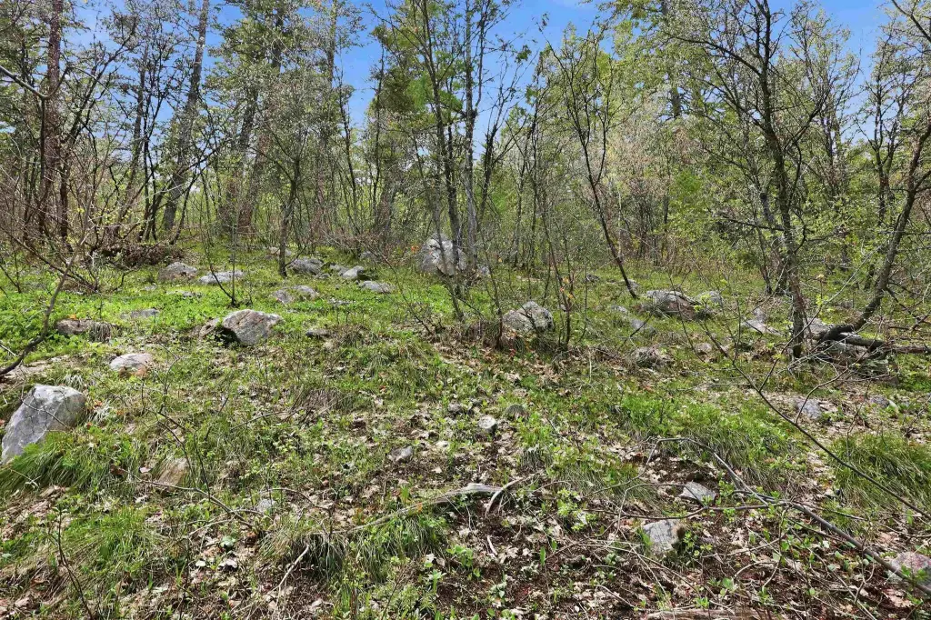 Picture 19