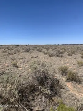 Level Vacant Land Parcel