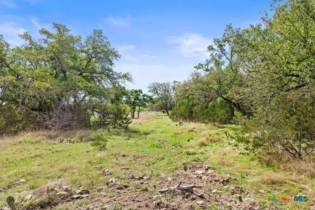Picture 21