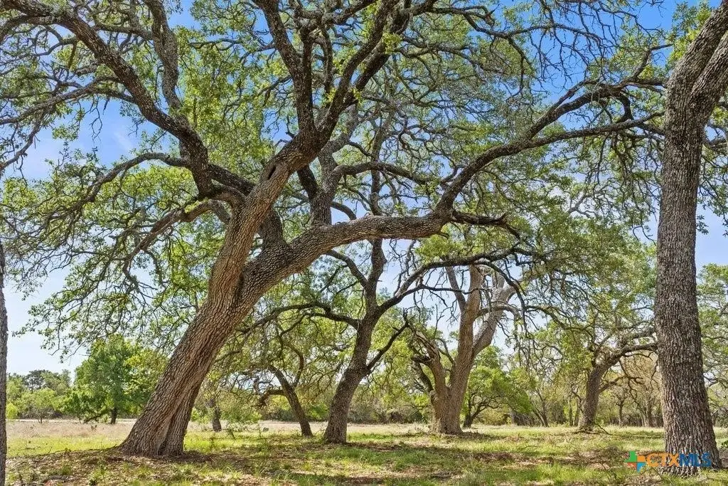 Picture 24