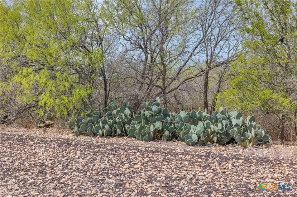 Picture 35