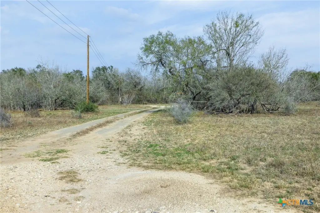 Picture 30