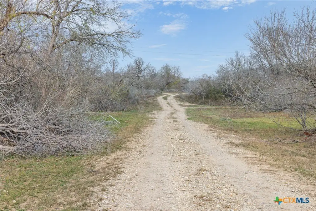 Picture 22