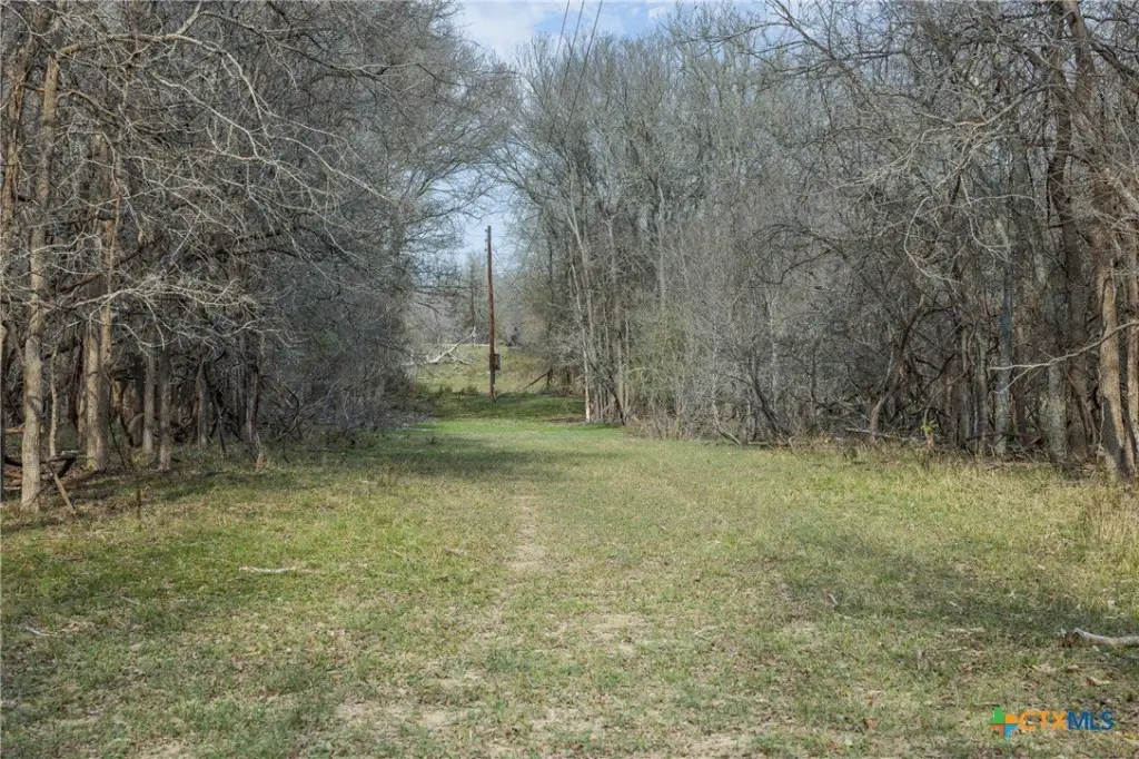 Picture 14