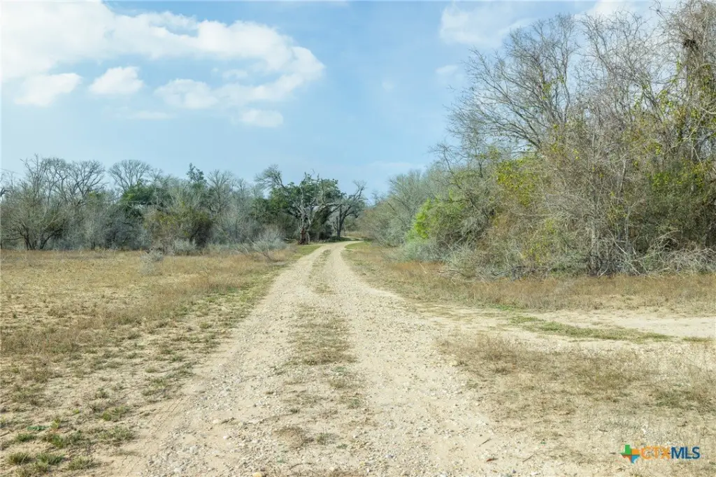 Picture 29