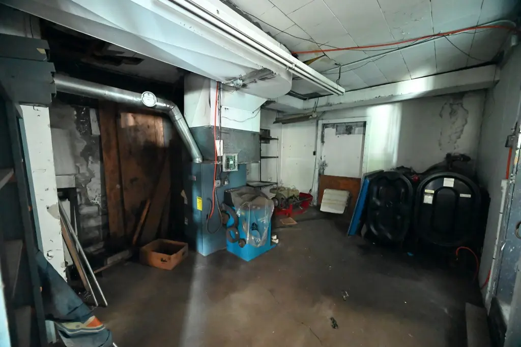 Picture 15