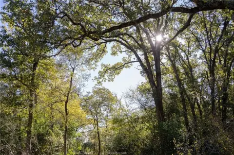 Bryan, TX Acreage Homesites