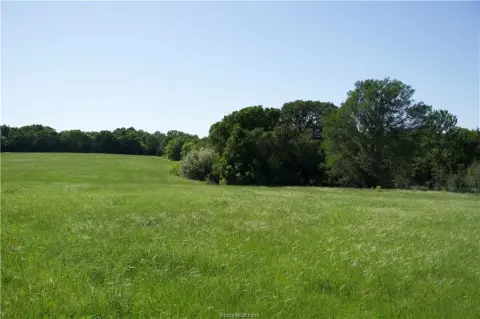 Bastrop County Acreage with Utilities