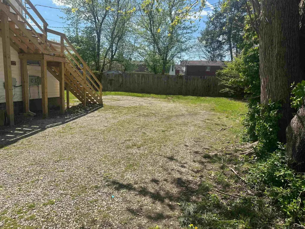 Picture 5