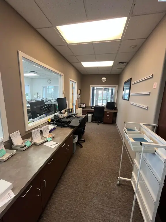 Picture 23