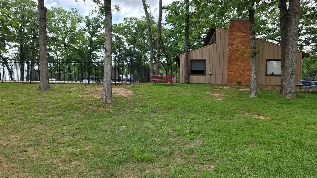 Picture 5