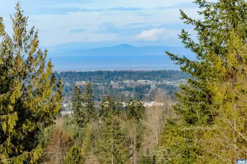 Private Sequim Land with Potential