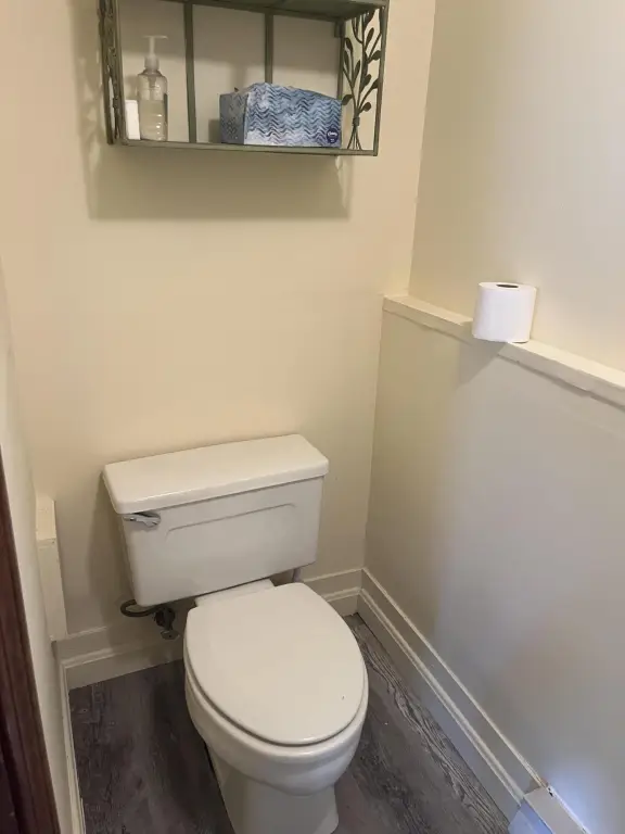 Picture 6