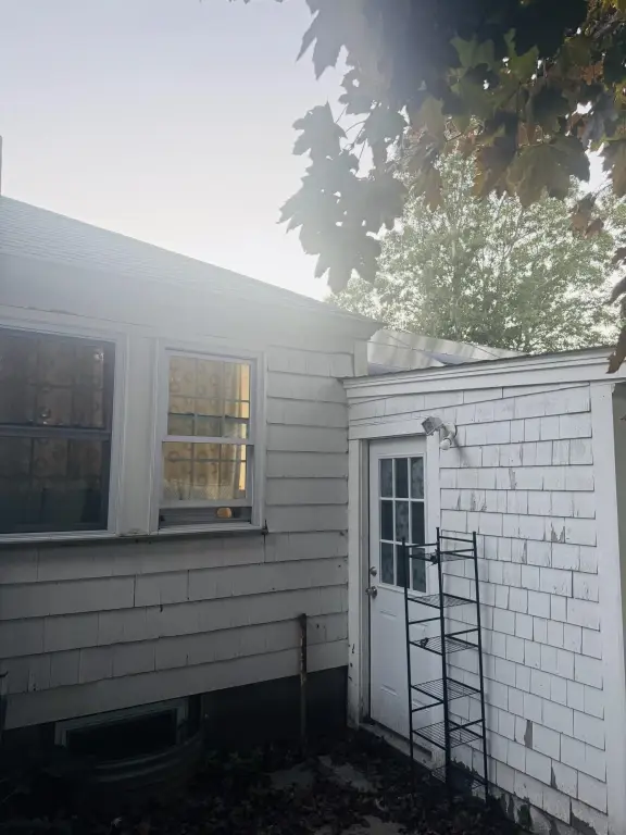 Picture 23
