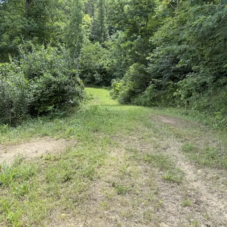 Picture 9