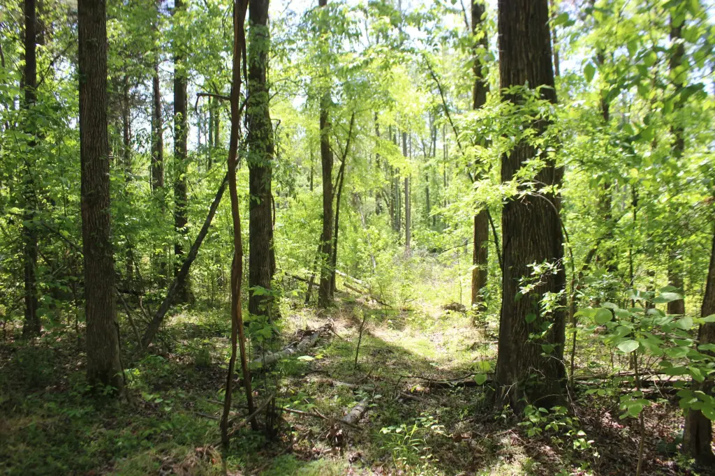 Picture 39