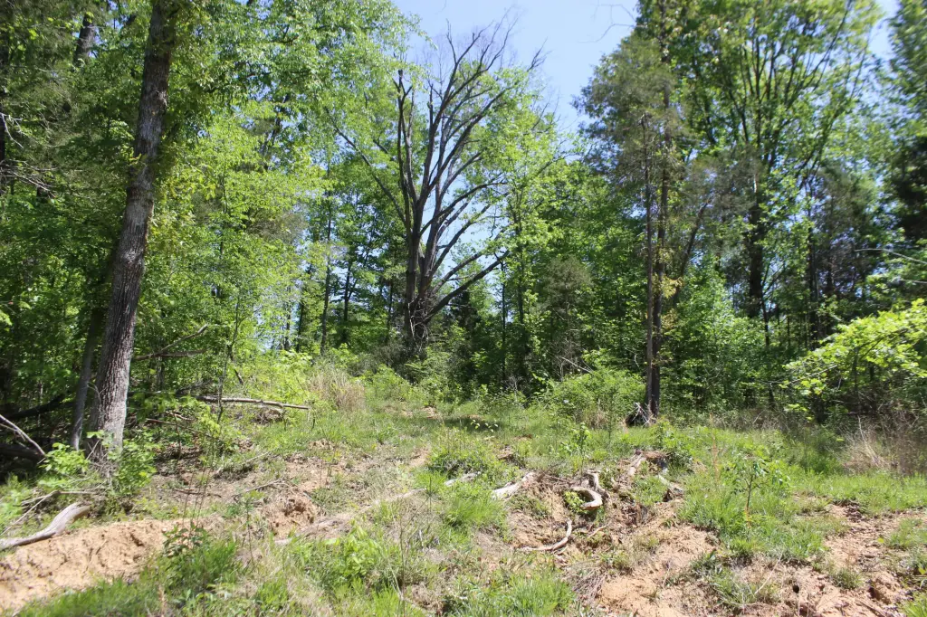 Picture 36