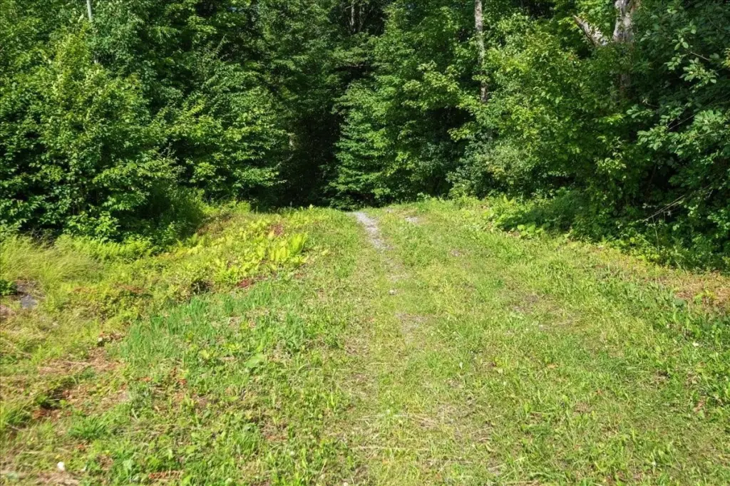 Picture 30