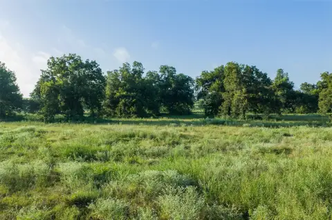 Agricultural Land with Mature Trees