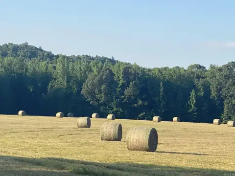 40 Acres Land with Utilities