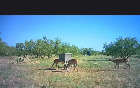 Versatile Recreational Property Ready