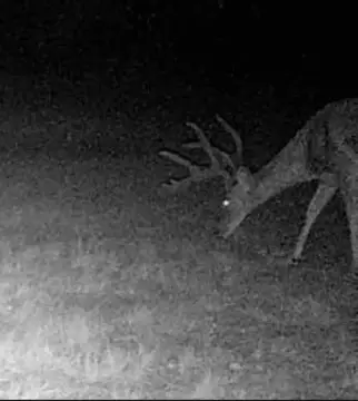 Turnkey Hunting and Recreational Ranch