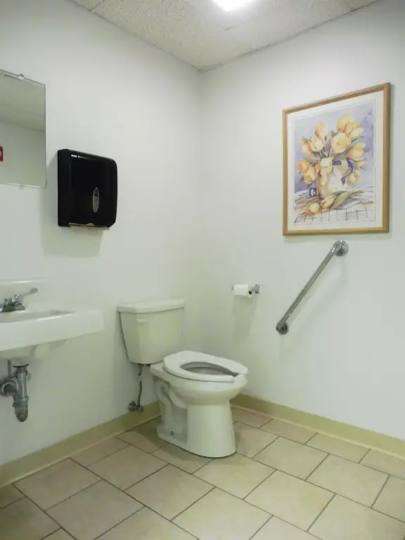 Picture 5