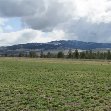 Stevensville Land with Mountain Views