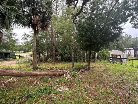 Vacant Land in Steinhatchee, Florida