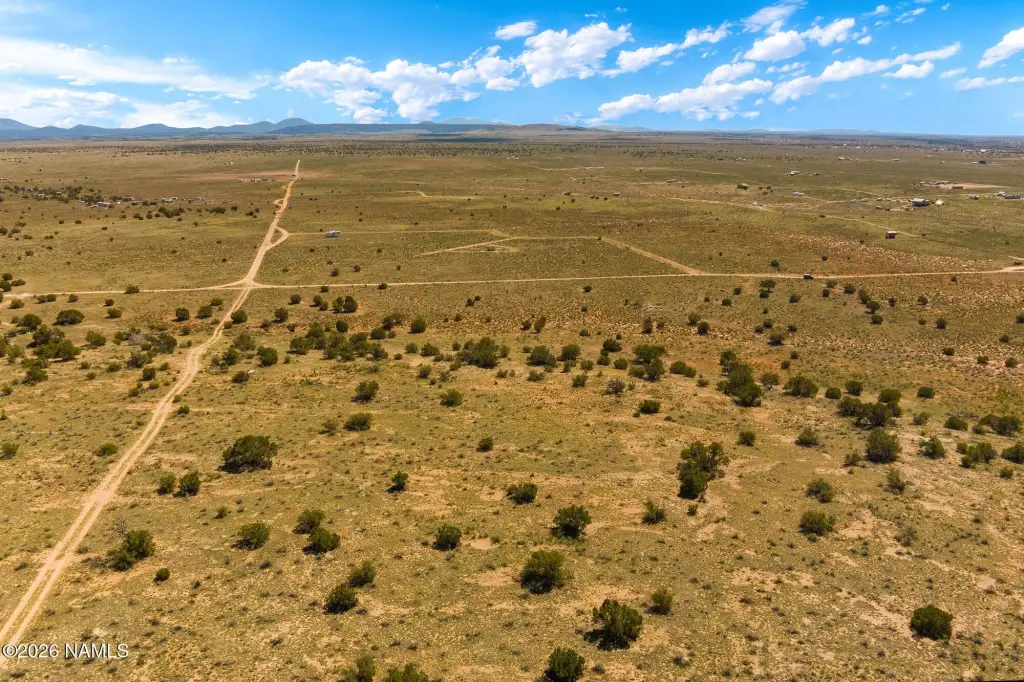 Picture 8