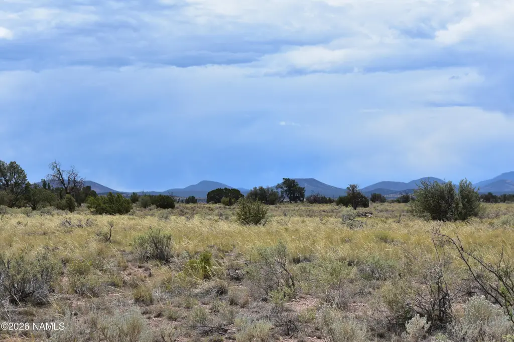 Picture 24