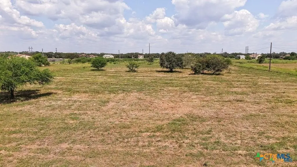Picture 9