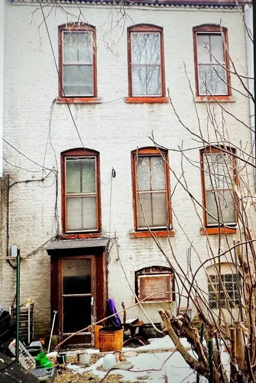 Picture 19