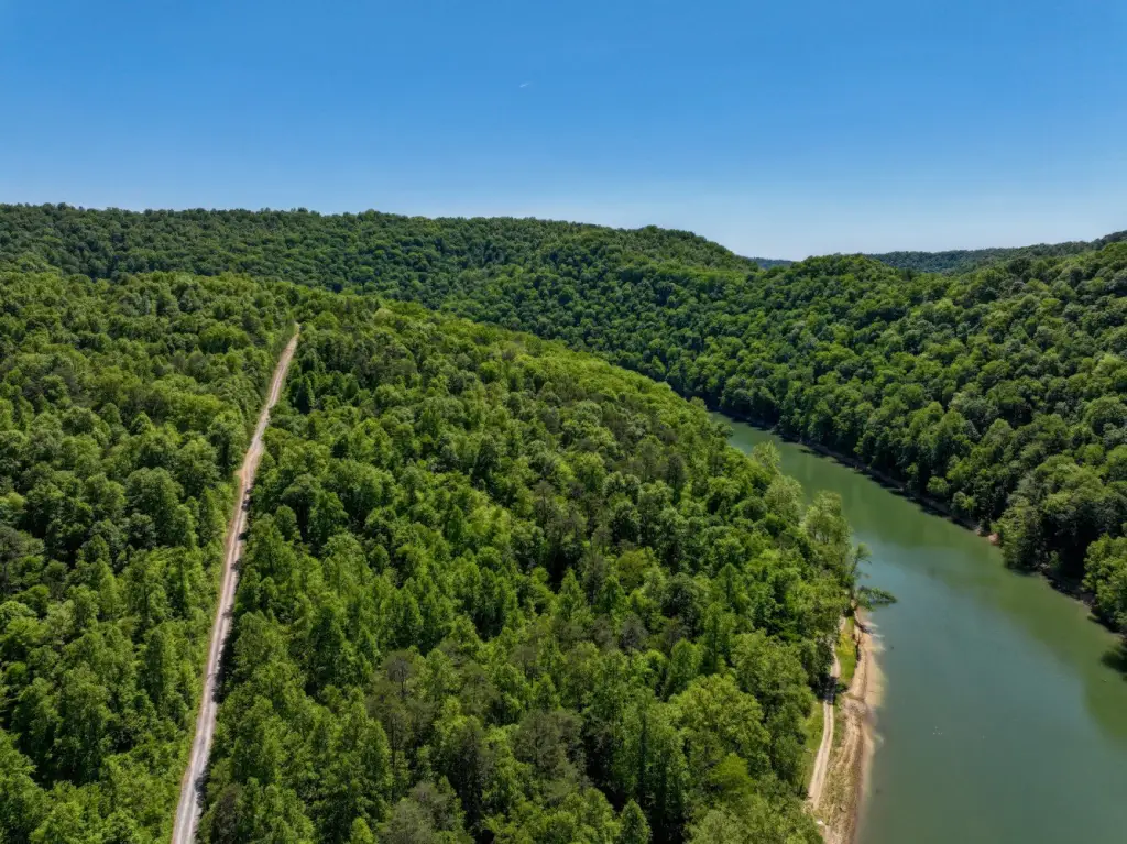 Picture 17