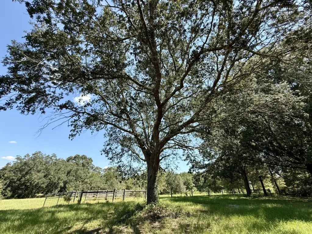 Picture 14