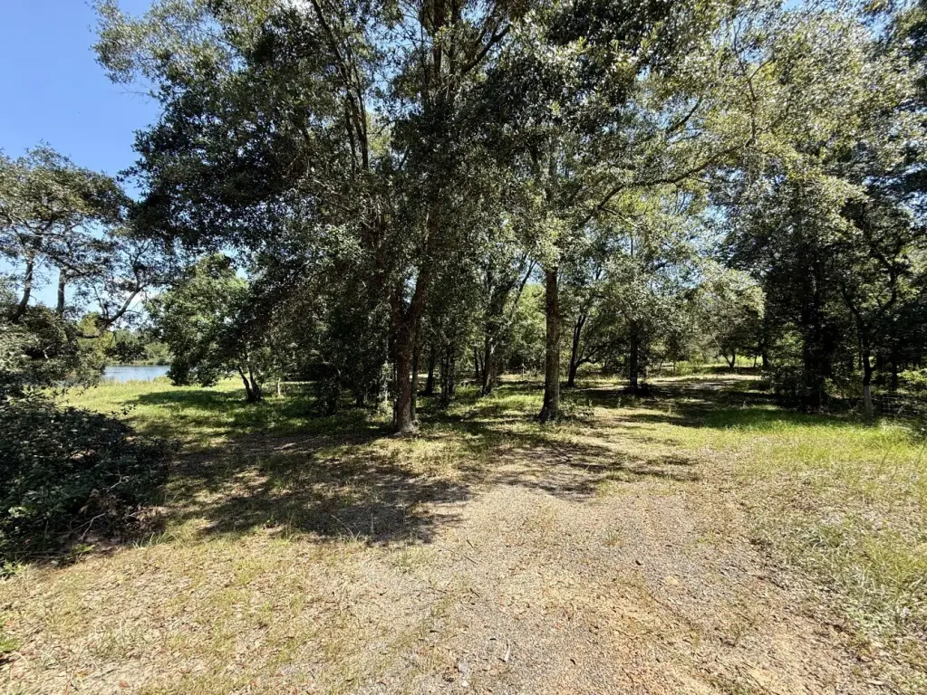 Picture 28