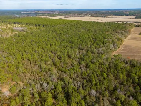 80 Acres in Baker, Florida