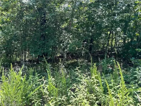 Land Lot Near Lake Tenkiller