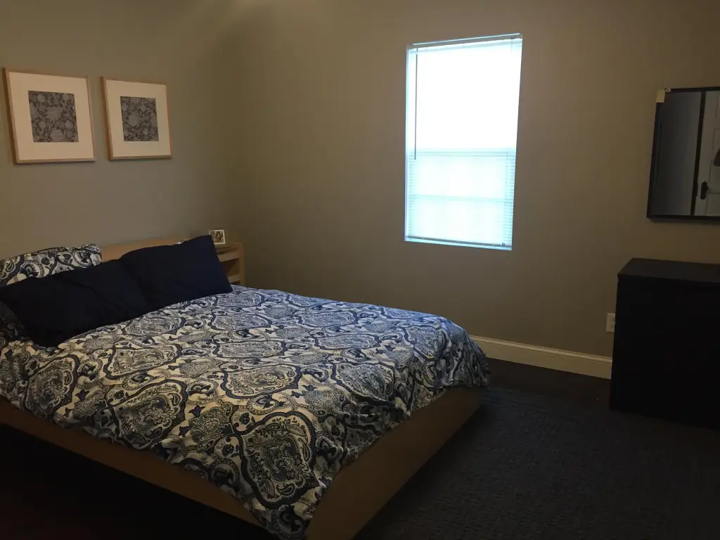 Picture 24