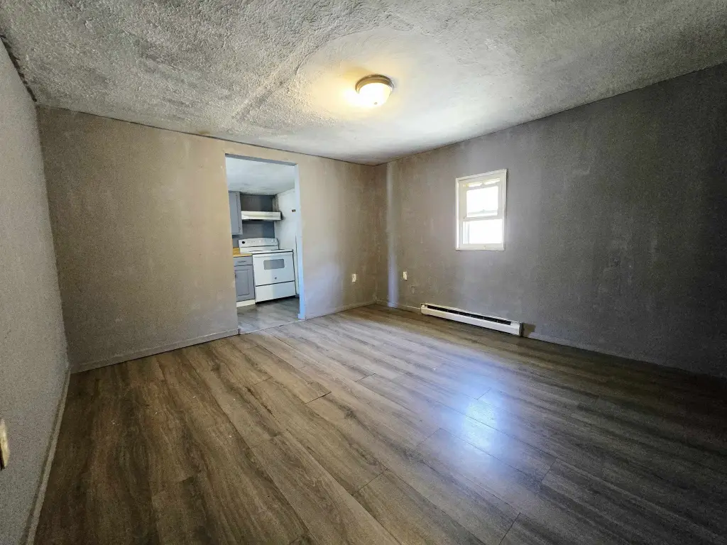 Picture 11