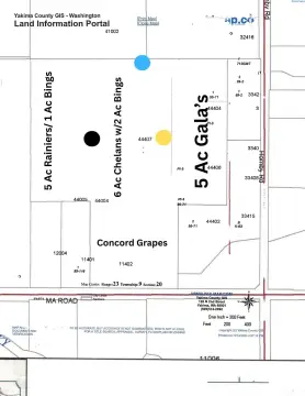 Grandview Orchard with Established Vineyards
