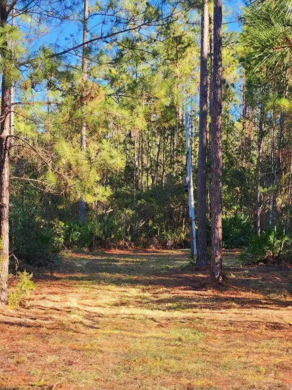 Picture 16
