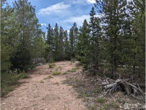 Red Feather Lakes Land Parcel