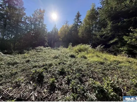 Sequim Land Parcel with Utilities
