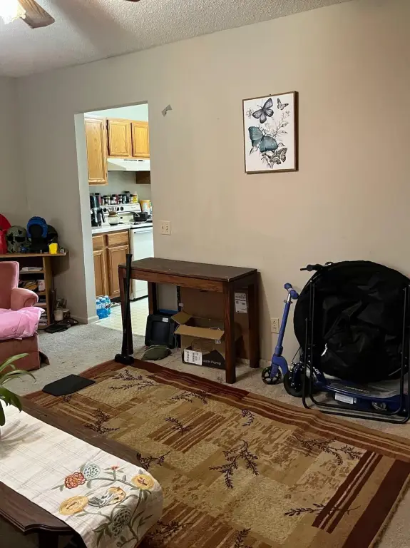 Picture 14