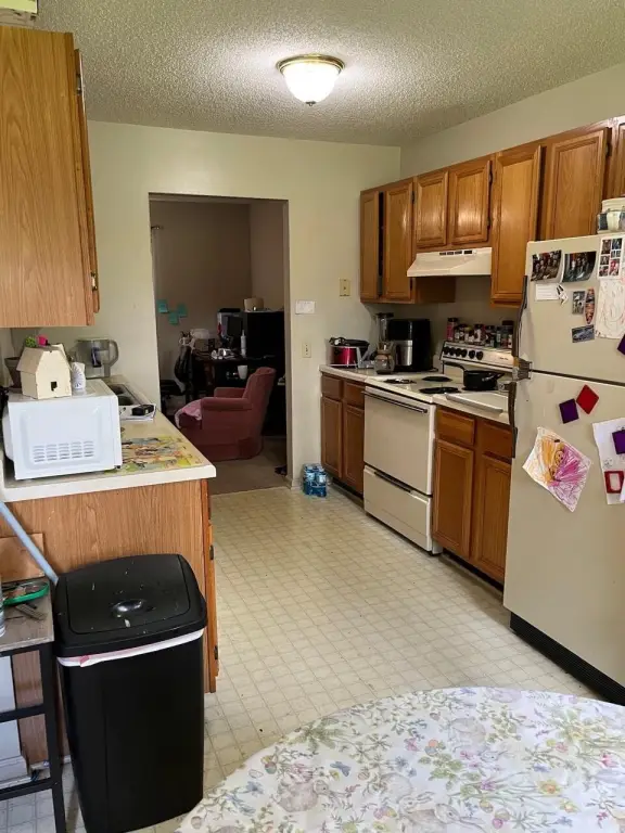 Picture 12