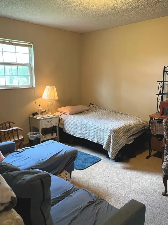 Picture 19