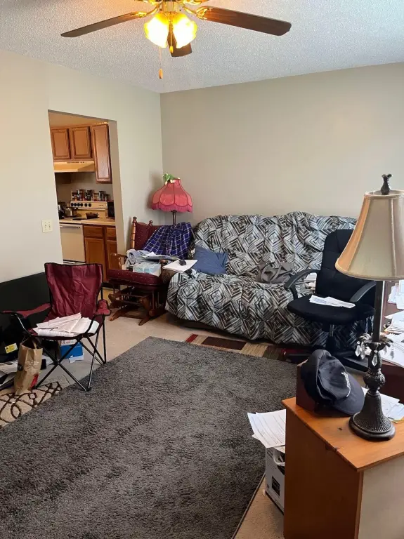 Picture 27