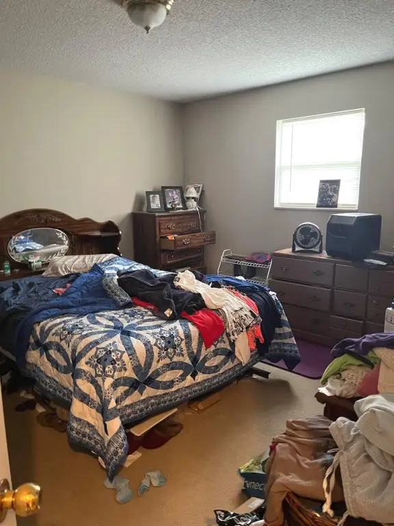 Picture 28