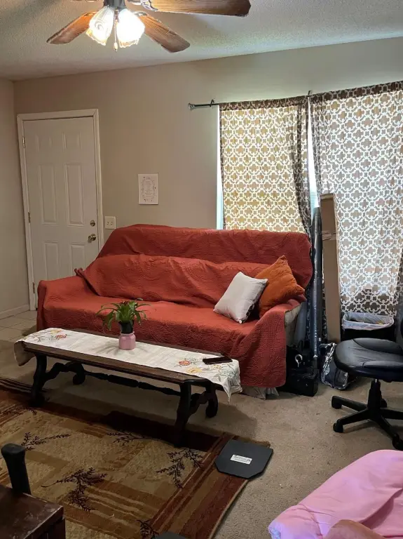 Picture 16